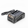 Senix 58 Volt Max* Lithium-ion Battery Charger CHX5